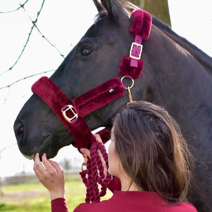 Love Your Horse Furry Halters & Lead