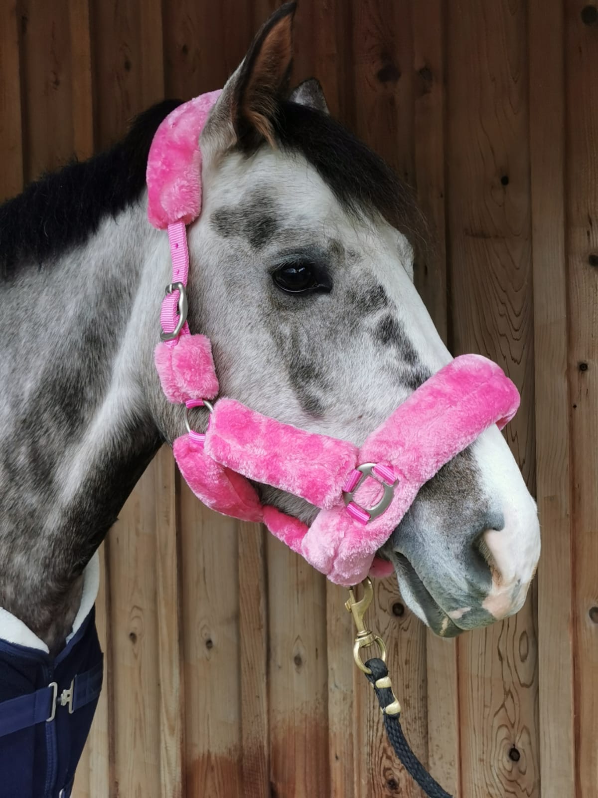 Love Your Horse Furry Halters & Lead