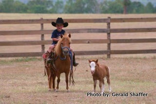 SAMPLE SALE - Buy 1 pc - 8" Leather Western Show Saddle for Ponies & Minis