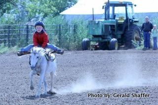 SAMPLE SALE - Buy 1 pc - 8" Leather Western Show Saddle for Ponies & Minis
