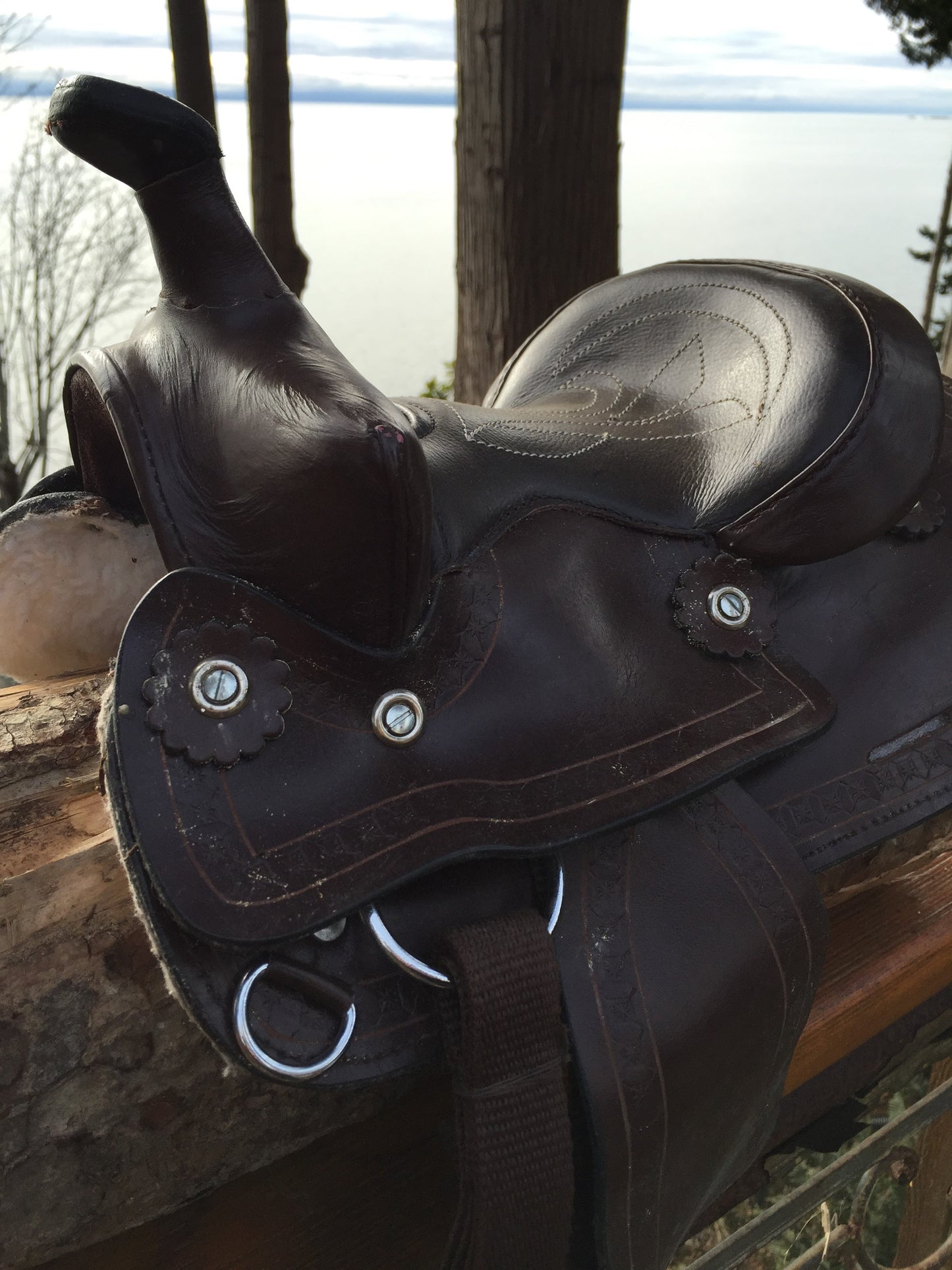 SAMPLE SALE - Buy 1 pc - 8" Leather Western Show Saddle for Ponies & Minis
