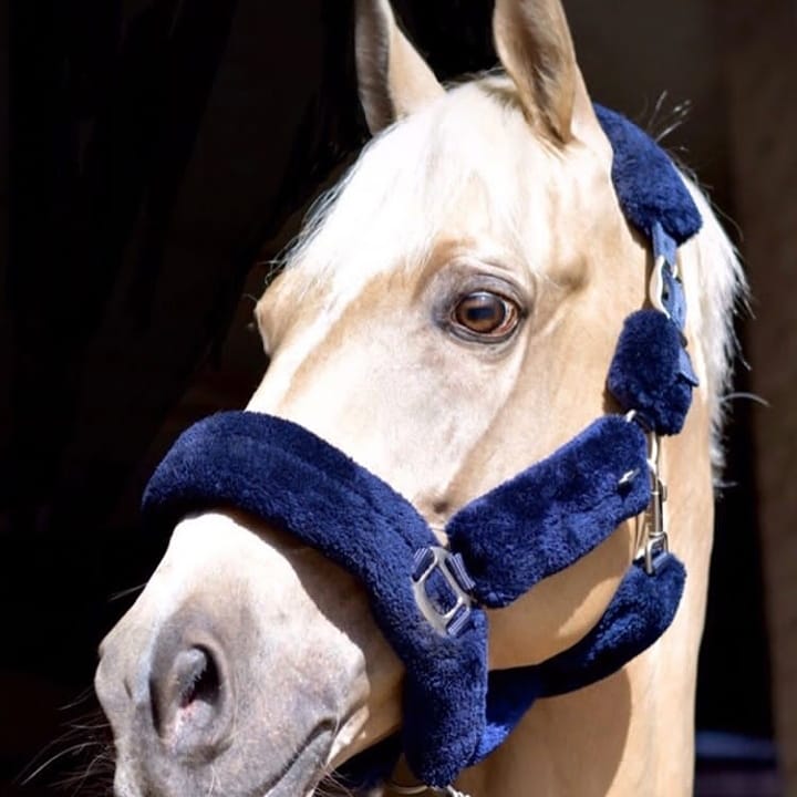 Love Your Horse Furry Halters & Lead