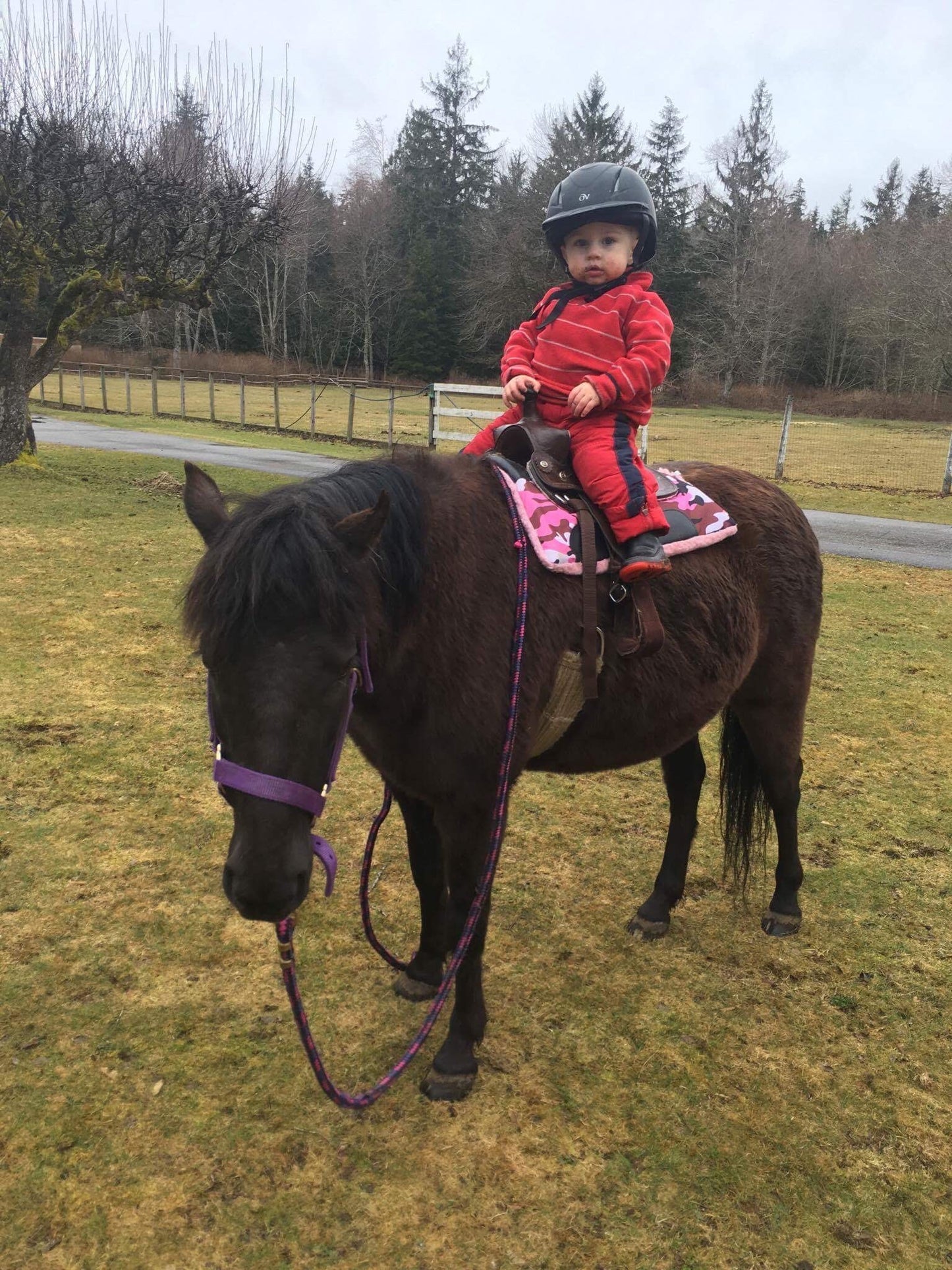 Love Your Horse Inc. 8" Saddles