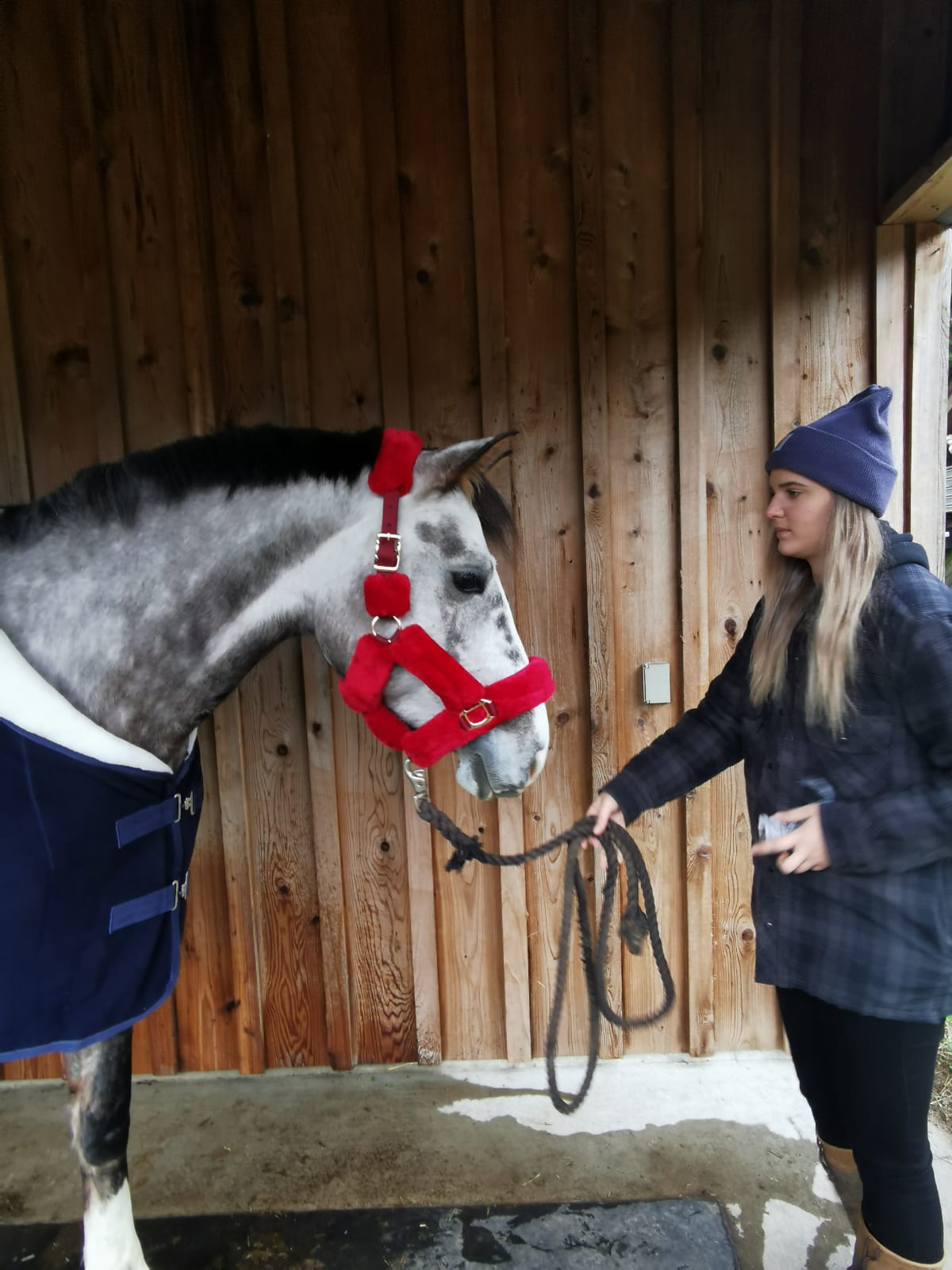 Love Your Horse Furry Halters & Lead