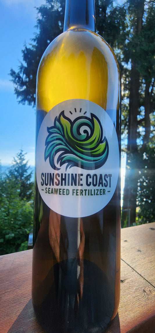 SAMPLE SALE - Organic Seaweed Fertilizer 1L - Better Soil, Bigger Buds
