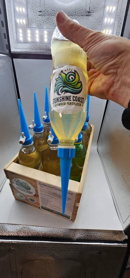 SAMPLE SALE: 1 pc. Organic Seaweed Micro Drench 500ml | Ready-to-Use with Tap