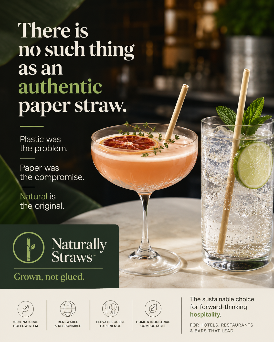 There is no such thing as an authentic paper straw — Naturally Straws in a coupe and highball at a hotel bar