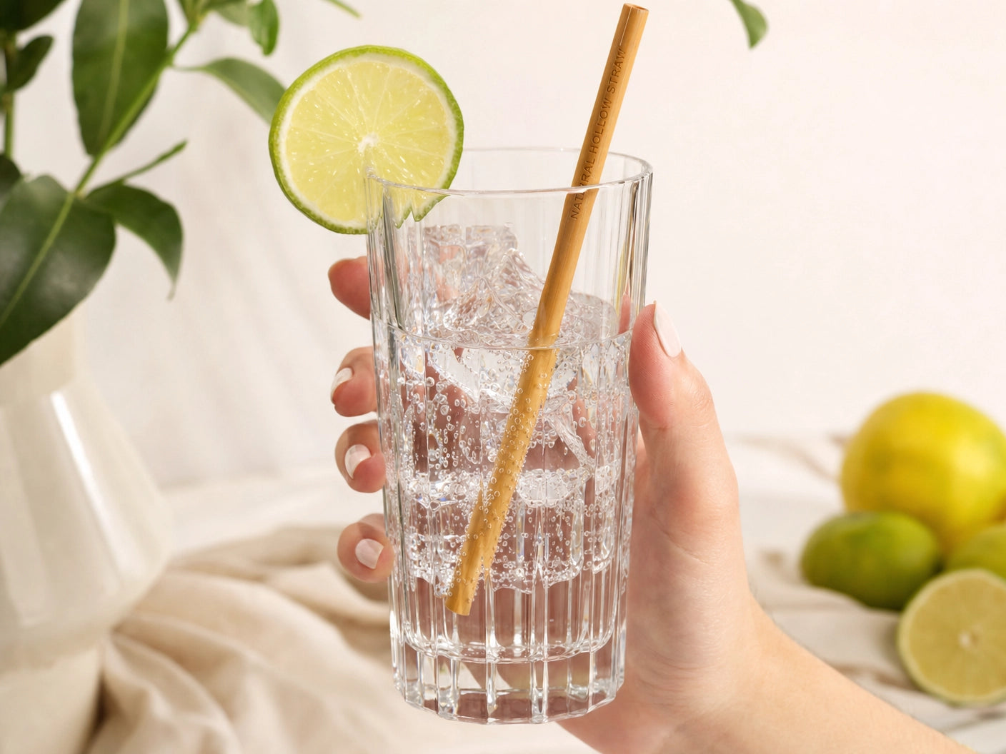 Naturally Straws — Sparkling Water